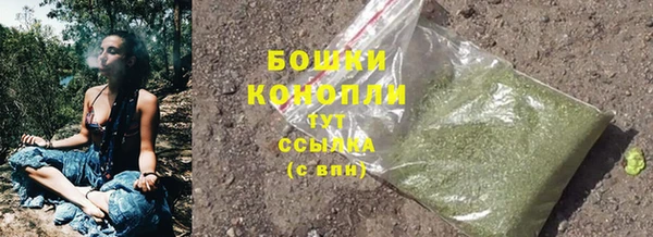 ГАЛЛЮЦИНОГЕННЫЕ ГРИБЫ Киреевск