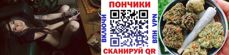 Бошки Шишки VHQ  Пучеж 